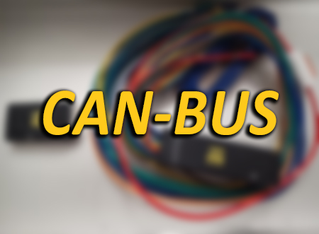 CAN-Bus Adapter mit RANTAX-Aufkleber. Eine schwarze Box mit Stecker und eine weitere mit vielen verschiedenfarbigen Kabeln